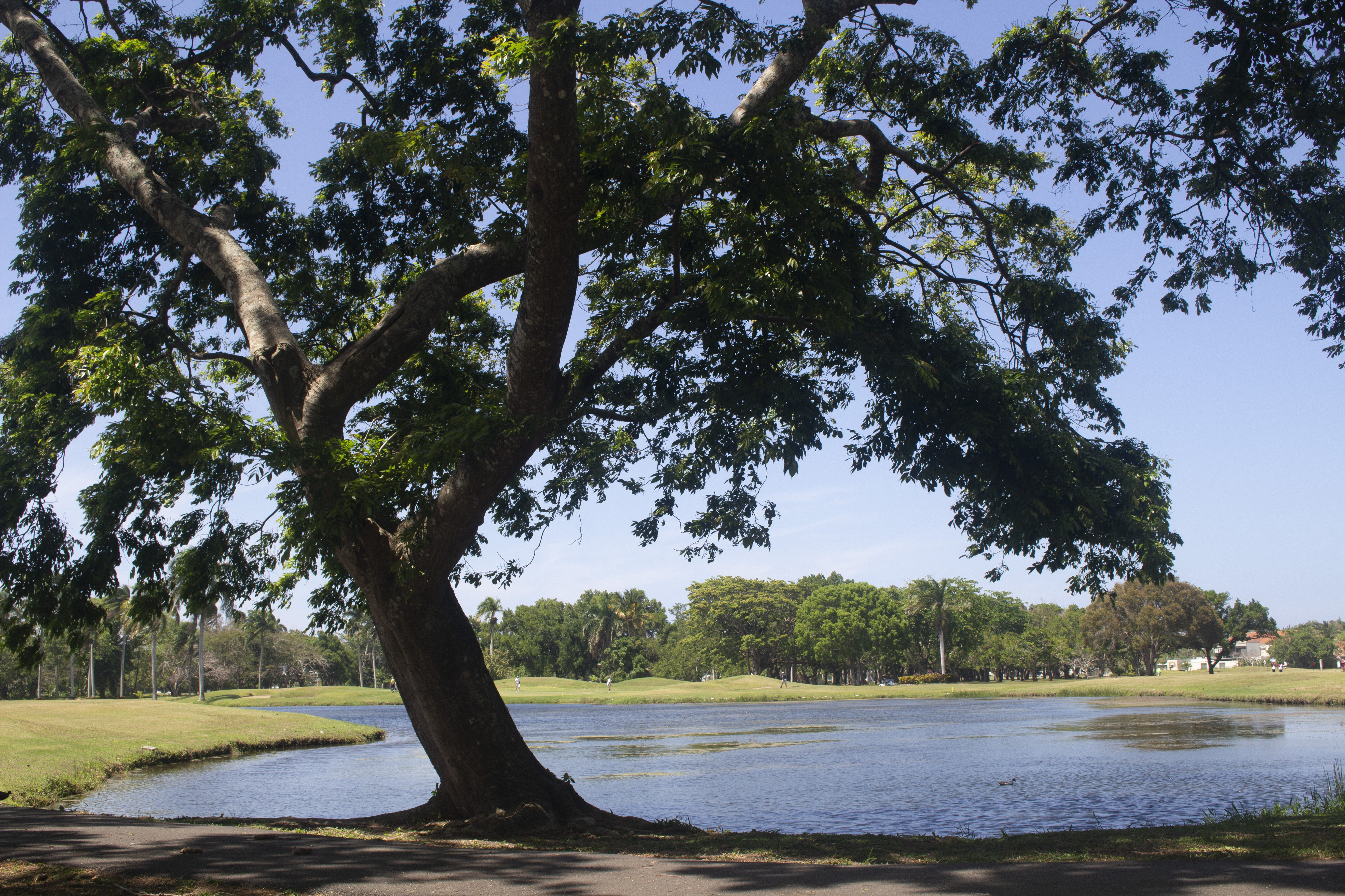 Bupa Challenge: El Abierto de Puerto Plata