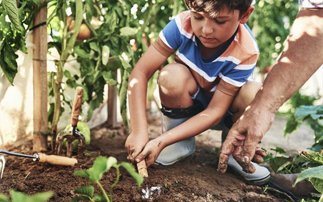 Niño sembrando en su huerta