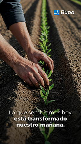 Día Mundial del Suelo